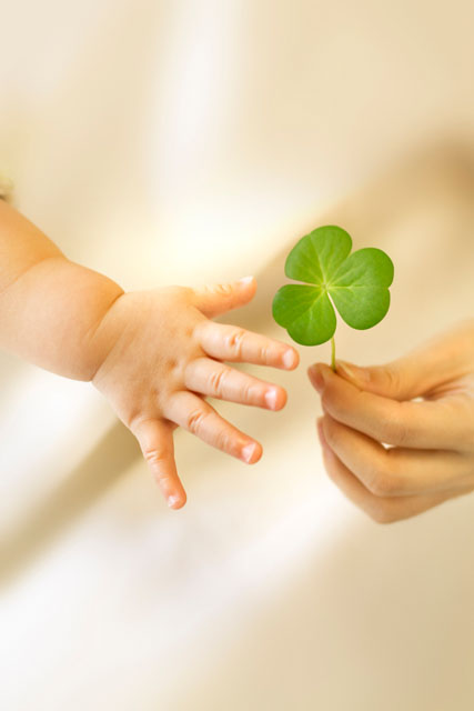 ぬくもりのある心のこもったケア